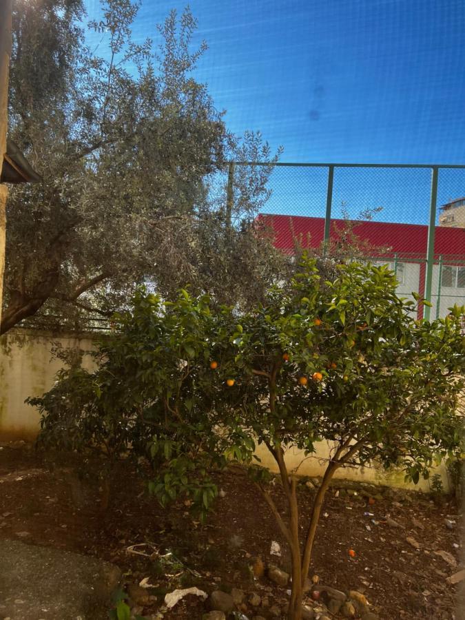 Amion Apartment In Center Of טיראנה מראה חיצוני תמונה